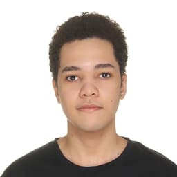Developer Image